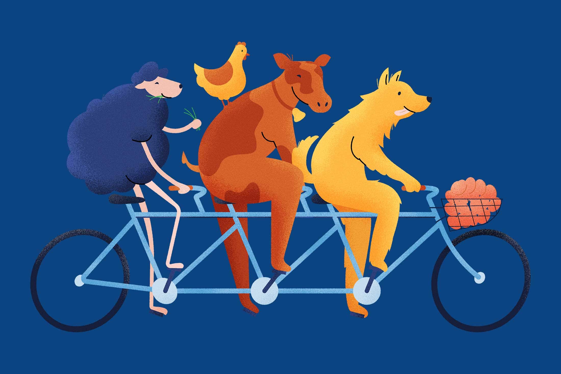 Lamond-Farm-Bike-Illustration-farm-fresh Lamond-Farm-Bike-Illustration-farm-fresh